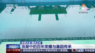 跳水“冠军摇篮”为何是湛江？跟着记者解锁背后密码