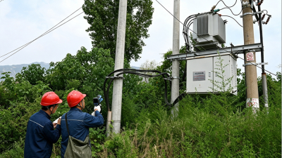 Reliable Power Supply Supports the Steady Growth of Specialty Breeding Industry in Jiaozuo, Henan