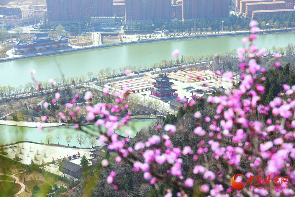 平凉：春风裁锦 桃灼崇信_fororder_00301979619_094fdac6