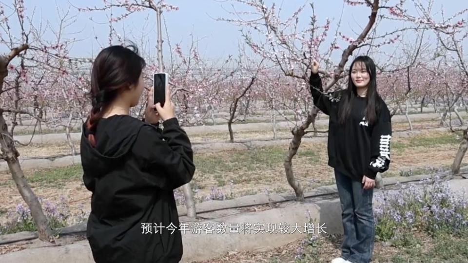 新华视点｜人市两热 多彩假日活力足——2025清明假期盘点