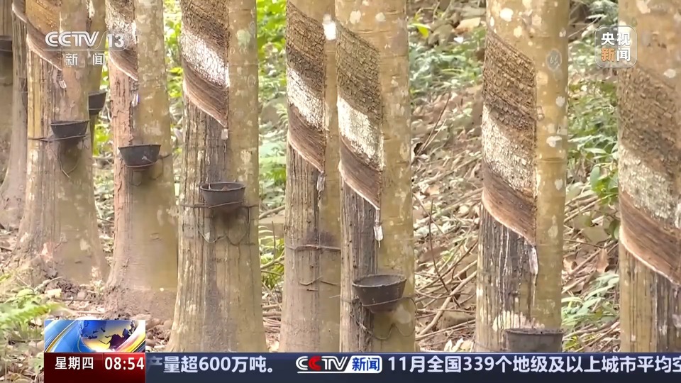 新物种75种！海南热带雨林国家公园持续“上新”