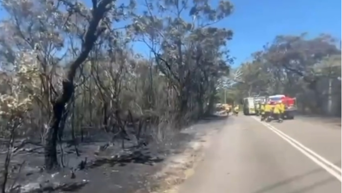 视频 | 悉尼遭遇“史诗级”热浪侵袭  森林火灾风险进一步上升_fororder_微信截图_20260111143945