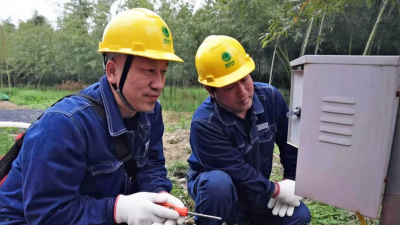 Reliable Power Supply Drives High-Quality Development of Specialty Agriculture in Jiaozuo_fororder_图片2