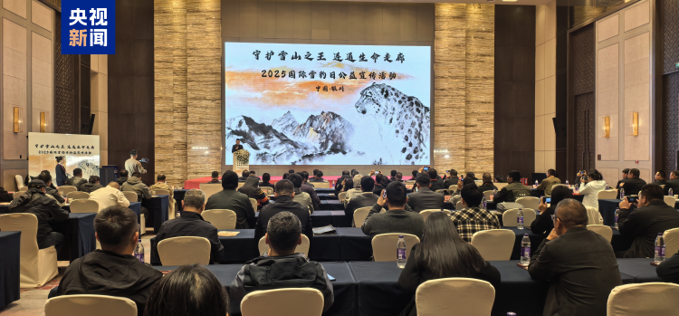 守护“雪山之王” 我国雪豹数量增长至约5000只