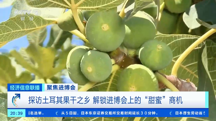 原产地好物直达！“可可大国、香草王国”：我家好物来进博→