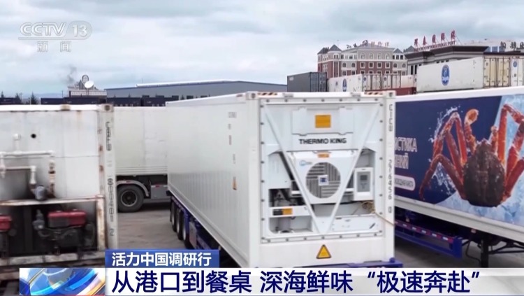 活力中国调研行丨边陲小城奏响海洋经济交响曲