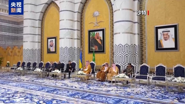 视频丨乌总统称与海湾多国达成防务合作协议