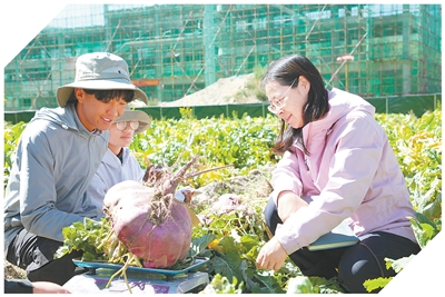 2024年，科技创新对西藏经济增长贡献率已提升至42% 雪域高原 创新热土（科技视点）_fororder_1