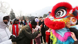 津彩过大年 | 留学生走进天津蓟州 解锁中国年味密码
