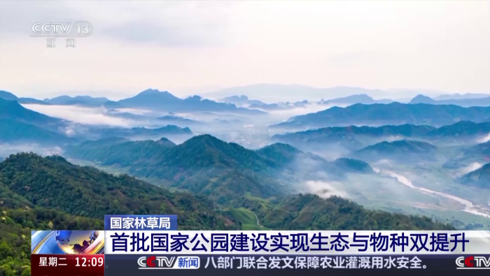 视频丨首批国家公园生态系统质量和旗舰物种数量实现双提升