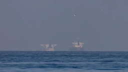 视频丨特朗普：伊朗已允许20艘油轮通过霍尔木兹海峡