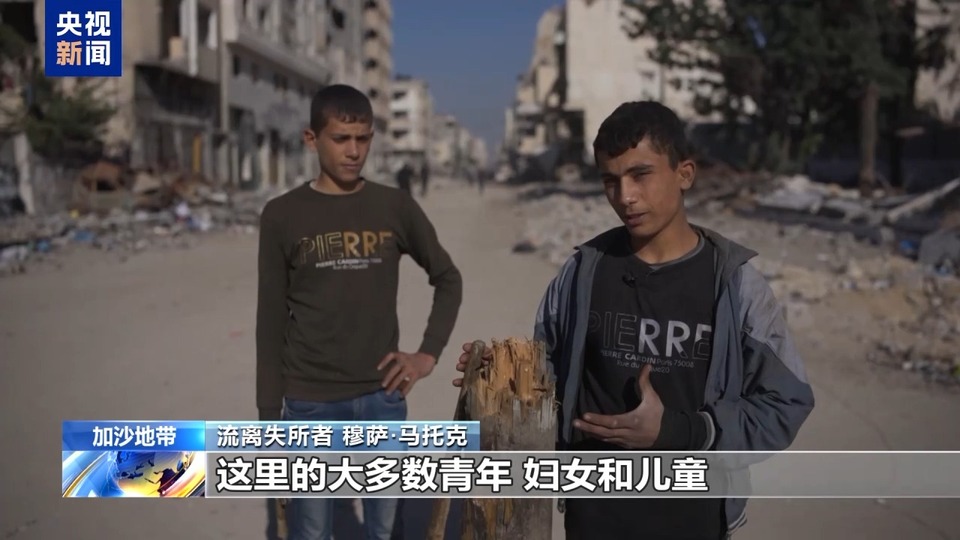 新年将至 燃料短缺 深陷战火的加沙民众拾柴砍树取暖做饭