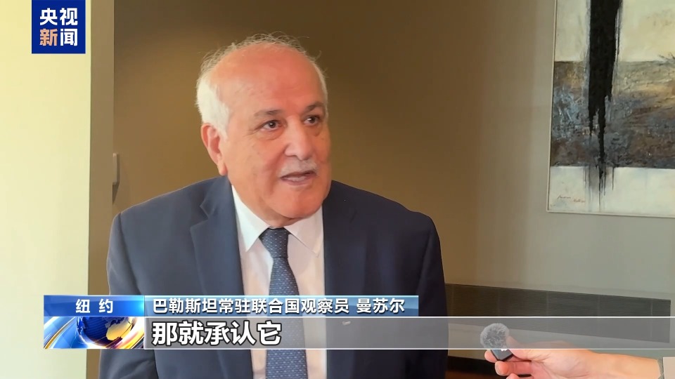“你们指望美国做些什么？”巴勒斯坦代表回答央视记者提问