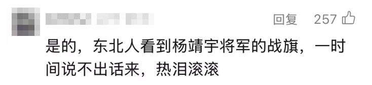 刘老庒连战旗为何多一“点” 网友：不能让英雄们找不到自己的部队