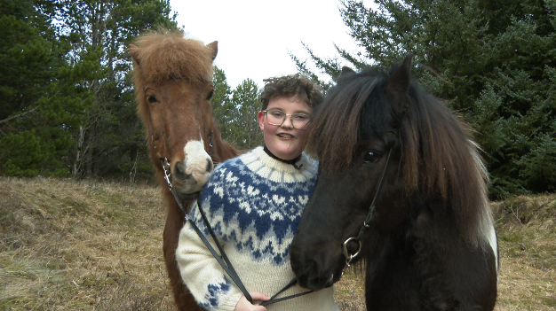 寻马记 | 外表很萌 血统纯正 揭开冰岛马的神秘面纱