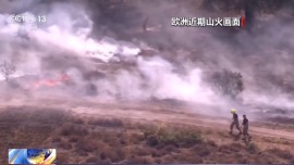 视频丨瑞士再保险：山火已成全球“发展速度最快”极端天气风险