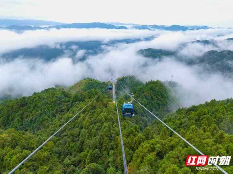 6天接待超8万人次！雪峰山索道点亮湖南文旅新版图_fororder_1