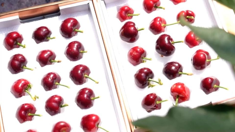 新华视点｜沃野金秋收获忙 共绘丰年好图景