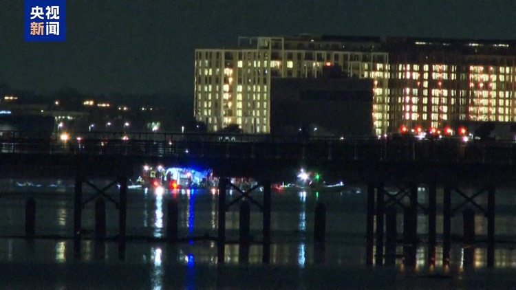 美两机相撞事故目击者:客机突然倾斜 底部火花四溅