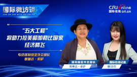 【国际微访谈】玻利维亚外交部长：“五大工程”将助力拉美和加勒比国家经济腾飞
