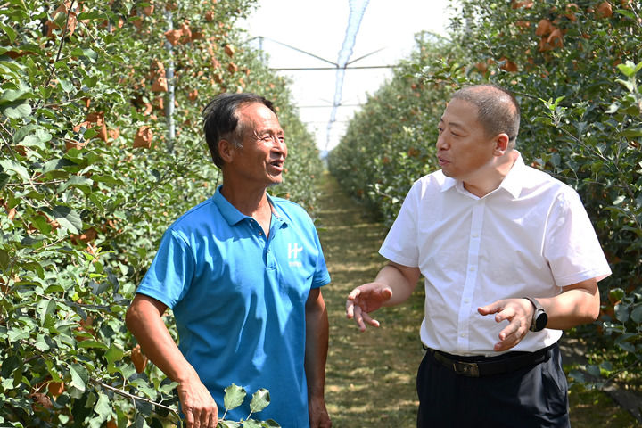 滚滚延河水 不尽为民情——从延安谱写奋进新篇感知“为人民服务”矢志不渝
