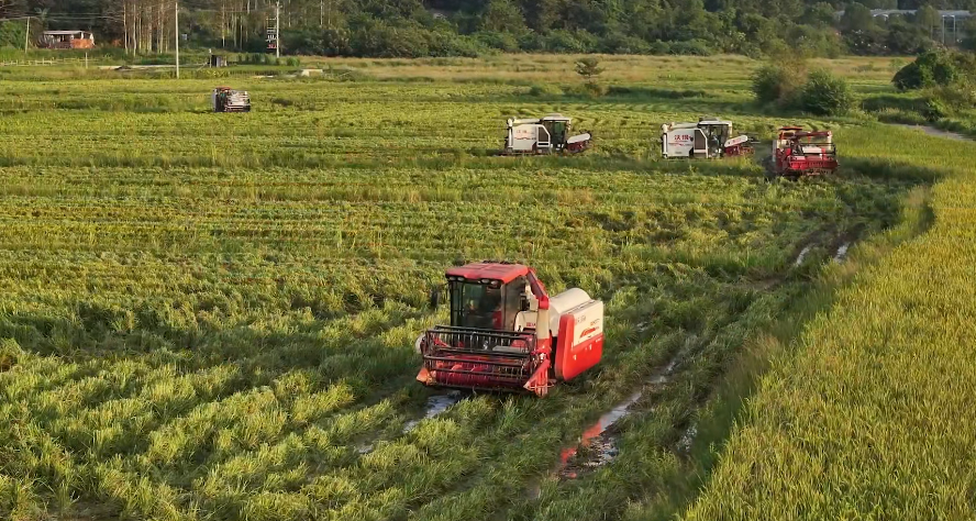 沉浸式感受“百千万工程”新成效，总台大巴探访广东城乡融合高质量发展新局面
