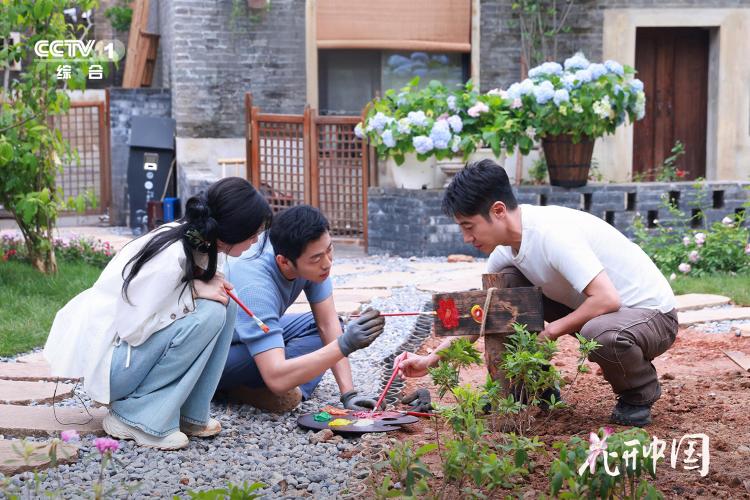 《花开中国》开播，在繁花中遇见美好生活