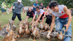 “相约张崀桂·崀山好嗨鸭”全民捉鸭欢乐赛举行