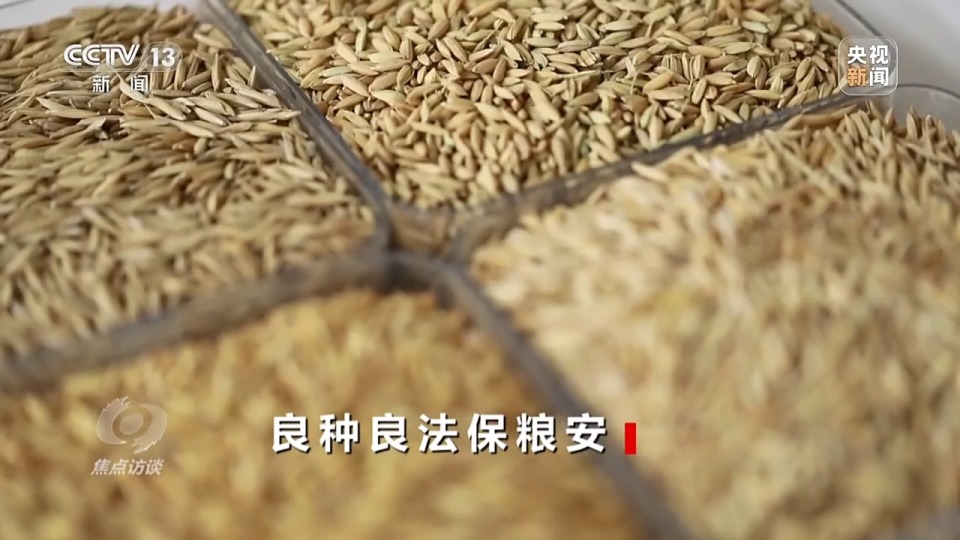 焦点访谈丨良田+良种+良机+良法 来看各地保丰收秘籍