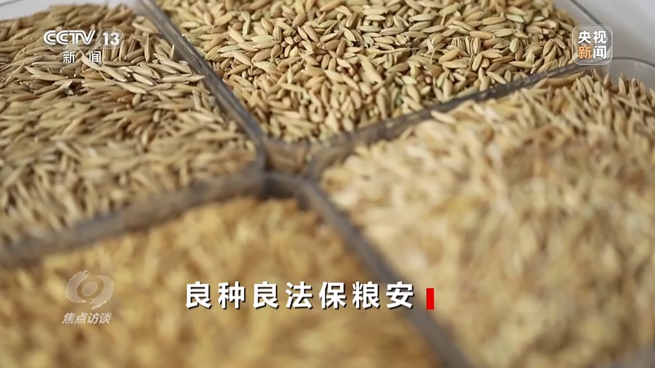 焦点访谈丨良田+良种+良机+良法 来看各地保丰收秘籍