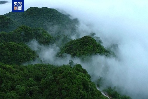 国家公园建设成效显著 自然保护地体系建设进入新阶段