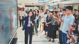 海南EF账户成为跨境资金“高速路”