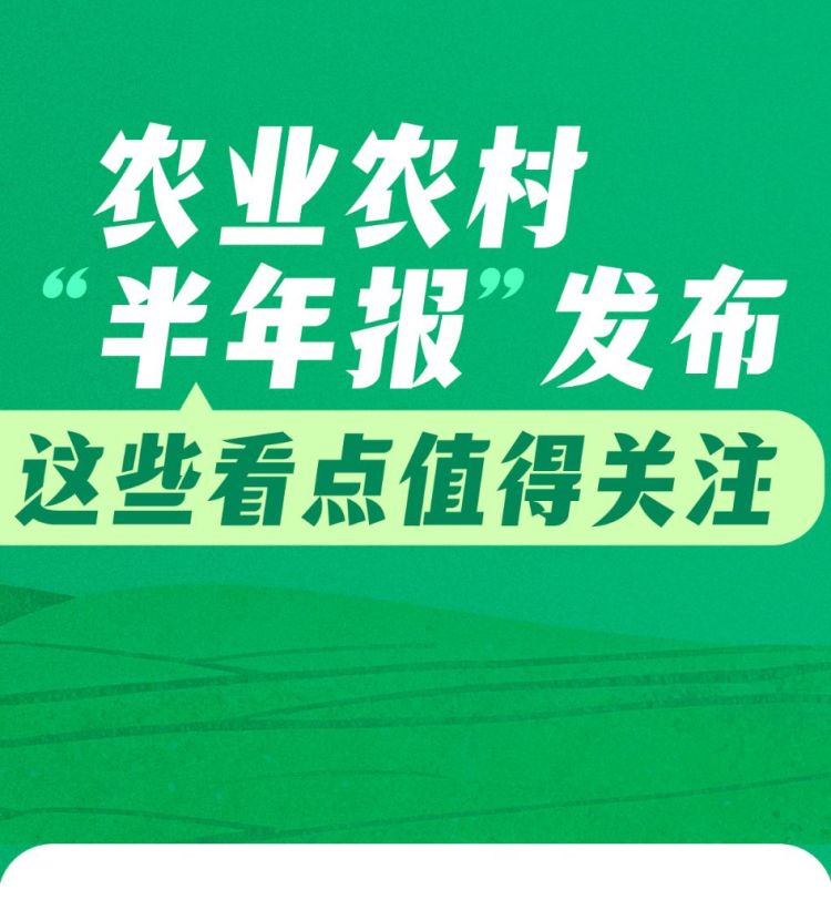 农业农村“半年报”发布，这些看点值得关注