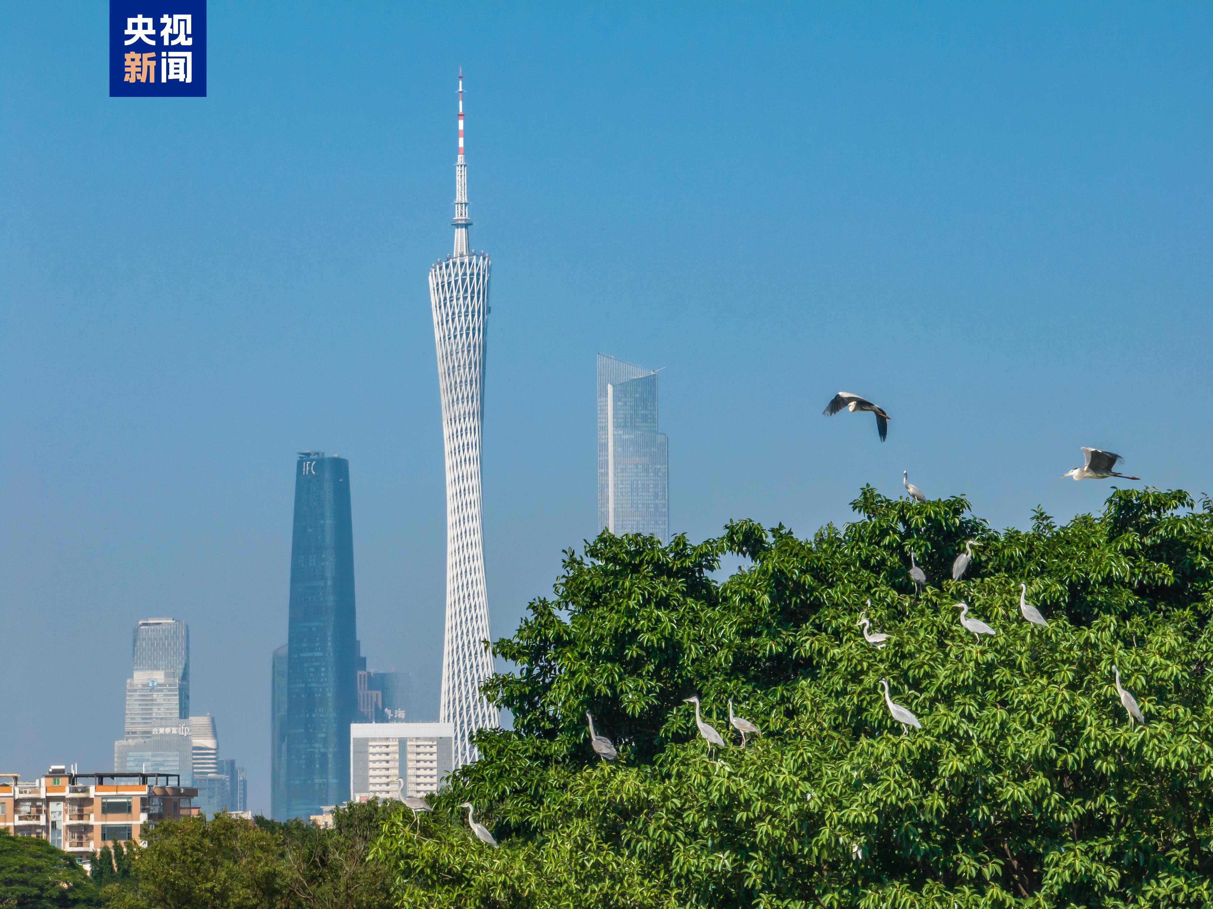 无惧风雨“候鸟”翩翩而至 广交会有何魅力？