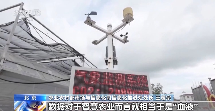 你听说过“伏羲农场”吗？这种小农场里可藏着大智慧