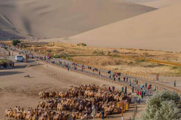 2025敦煌半程马拉松圆满落幕