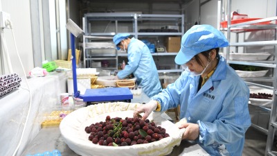 Power Support in Place for Early Cixi Yangmei Season_fororder_10.JPG