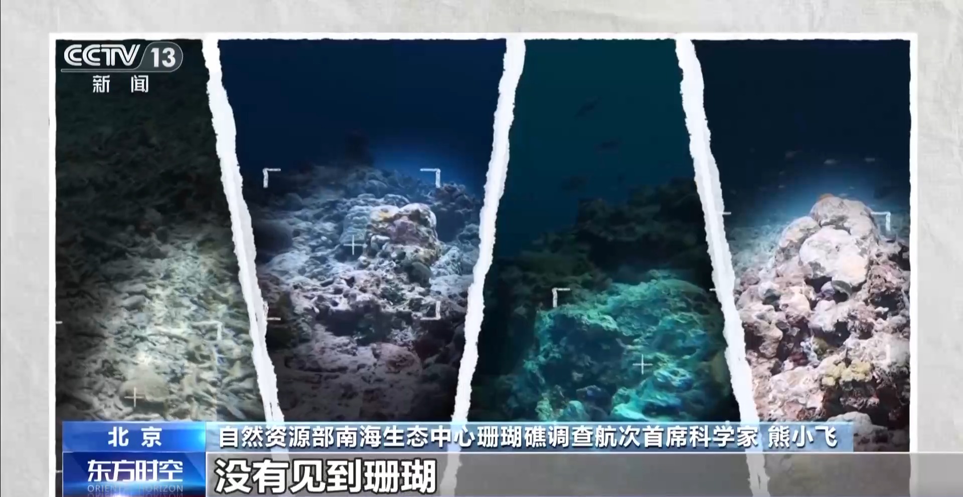 铁线礁珊瑚礁生态系统退化严重 这份“体检”报告有何重要意义？