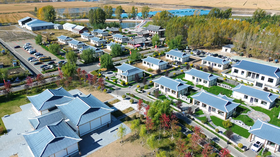 【你好，小镇】黑龙江星火：稻香聊源