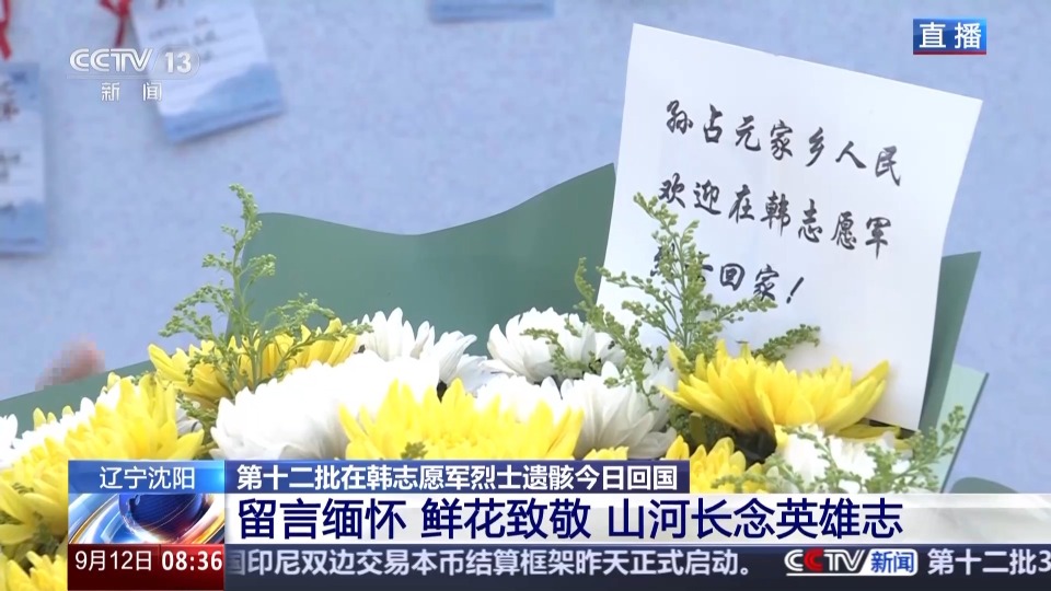 抗美援朝烈士陵园整洁庄重 静候英雄踏上归途