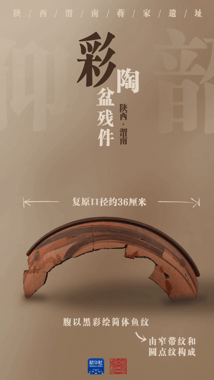 国宝画重点｜陶器上新！陕西蒋家遗址展现史前文明景象_fororder_105012025101800017528