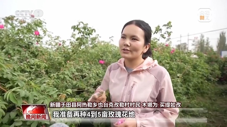 既防风固沙又助农增收 沙漠玫瑰带动多产业发展