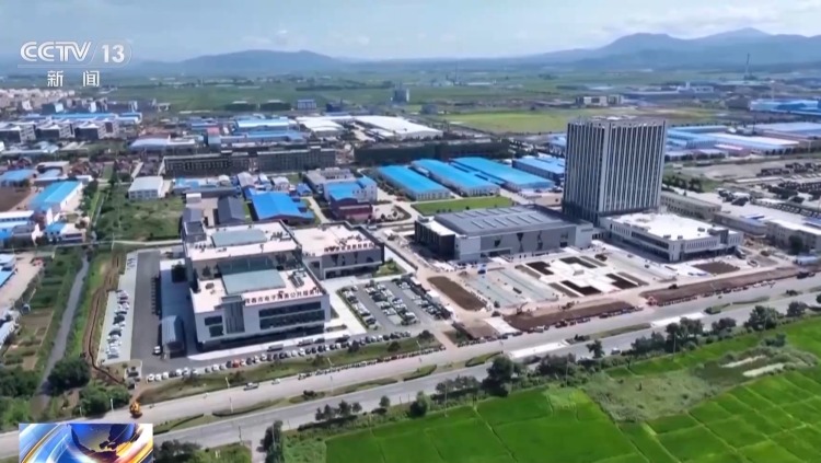 活力中国调研行丨边陲小城奏响海洋经济交响曲