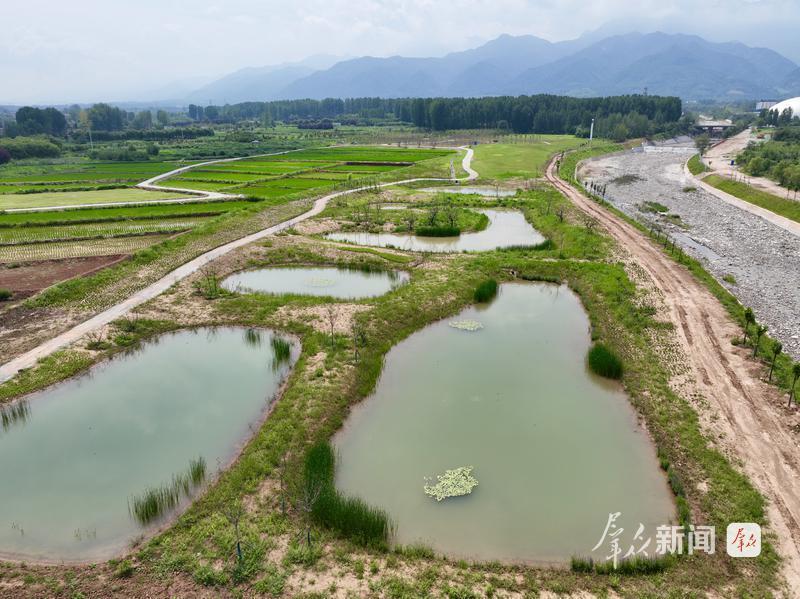 野鸭戏水、白鹭归来！秦岭脚下，处处皆是田园画