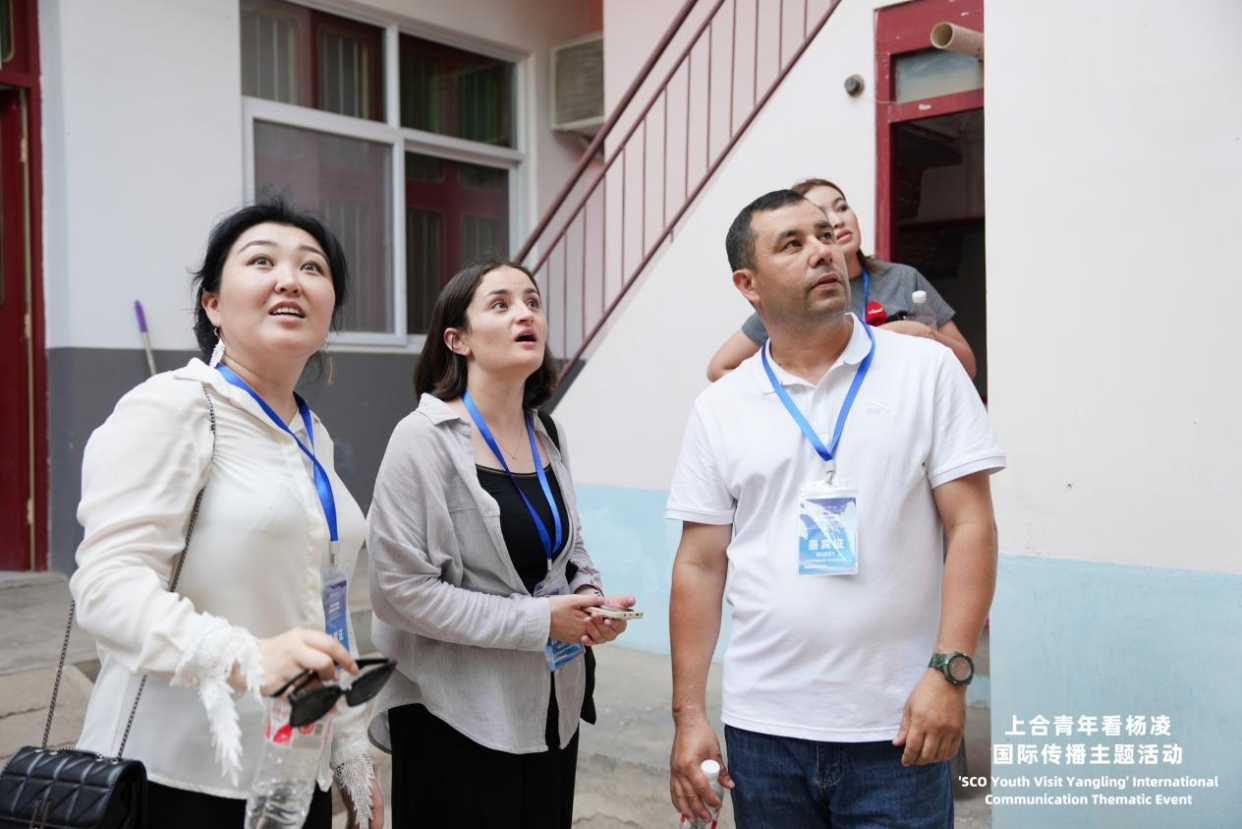 SCO Youth “Check In” at China's Agricultural Science City, Yangling, Exploring New Momentum for International Agricultural Cooperation_fororder_图片10