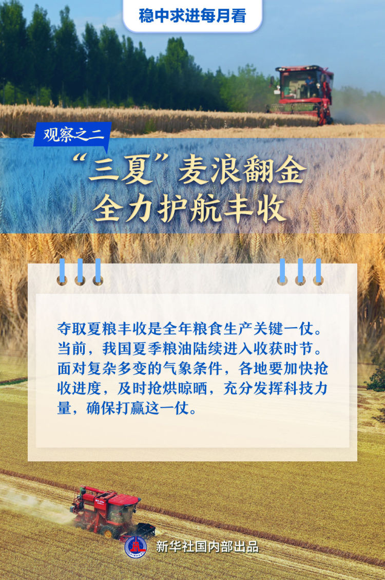 稳中求进每月看|破浪前行风帆劲——5月全国各地经济社会发展观察