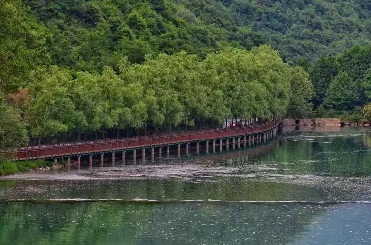 陇南宕昌：以“水”为笔绘就幸福河湖生态画卷_fororder_微信图片_20250606132029
