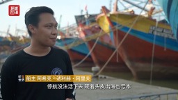 听鉴世界 | 柴油价格飙升 印尼渔民被迫滞留岸边生计堪忧