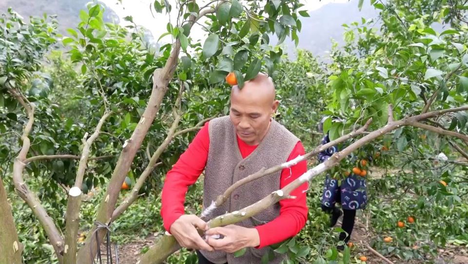 新华视点|产业“破题” 绘就振兴“答卷”