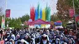 津郊乡旅焕新彩 农文旅融合绘就乡村振兴新图景